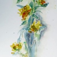 28/76 cm