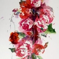 Rosen 28/76 cm