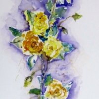 Gelbe Rosen 28/76 cm