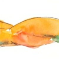 Akte II 4, 40 / 20cm