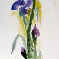28/76 cm